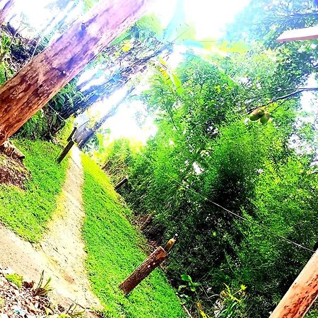 Ella Foret Accommodation Екстериор снимка