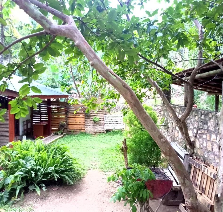 Ella Foret Accommodation Екстериор снимка