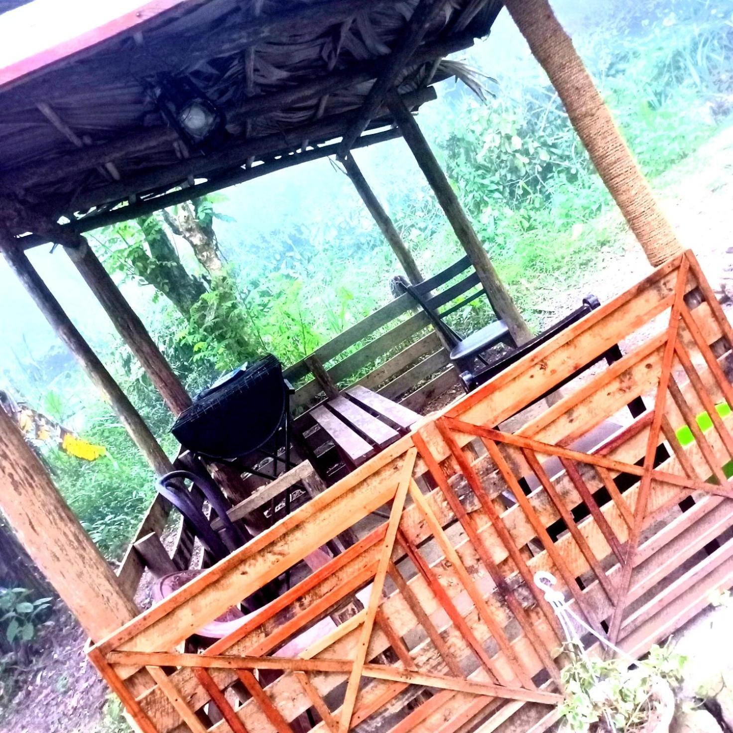 Ella Foret Accommodation Екстериор снимка