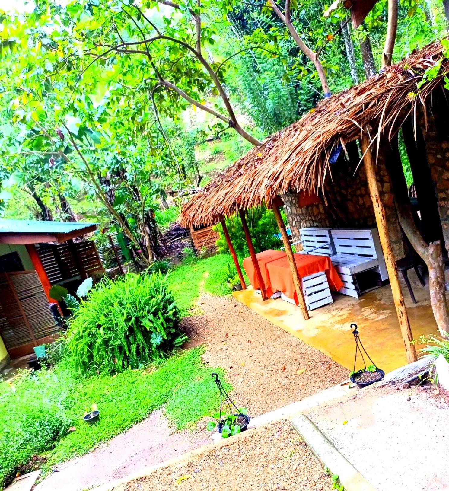 Ella Foret Accommodation Екстериор снимка